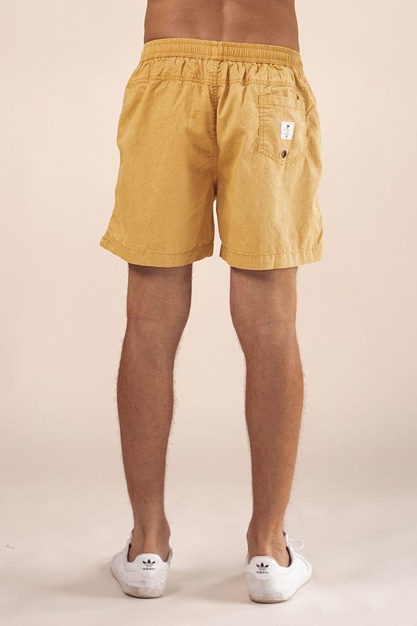 Pan Short - Man Short - LOST IN PARADISE