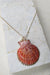 Cami Shell Necklace - Jewelry - LOST IN PARADISE